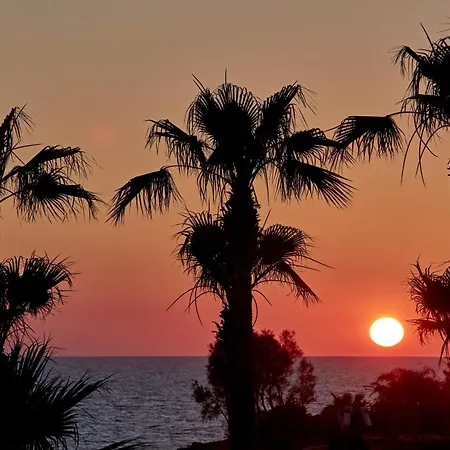 Atlantica Golden - Adults Only Kiszónerga