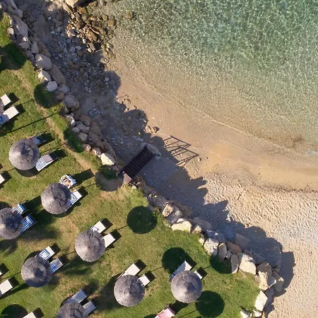 Atlantica Golden - Adults Only